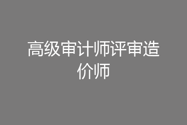 高级审计师评审造价师