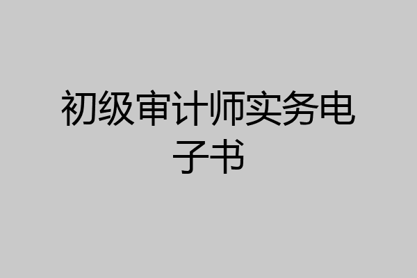 初级审计师实务电子书