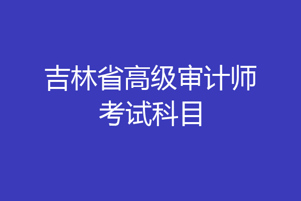 吉林省高级审计师考试科目