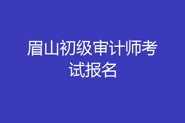 眉山初级审计师考试报名