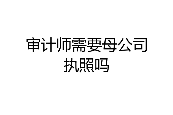 审计师需要母公司执照吗
