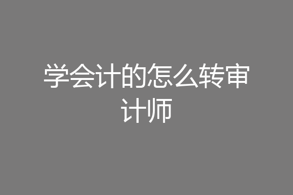 学会计的怎么转审计师