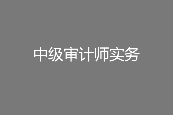中级审计师实务