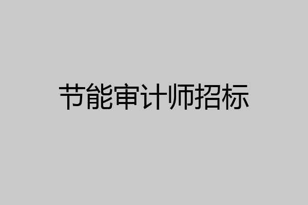 节能审计师招标