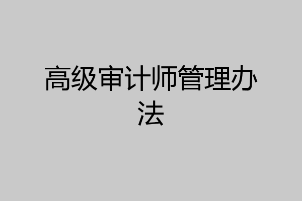 高级审计师管理办法