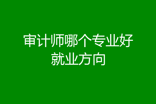 审计师哪个专业好就业方向