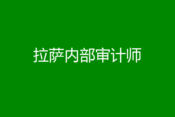 拉萨内部审计师