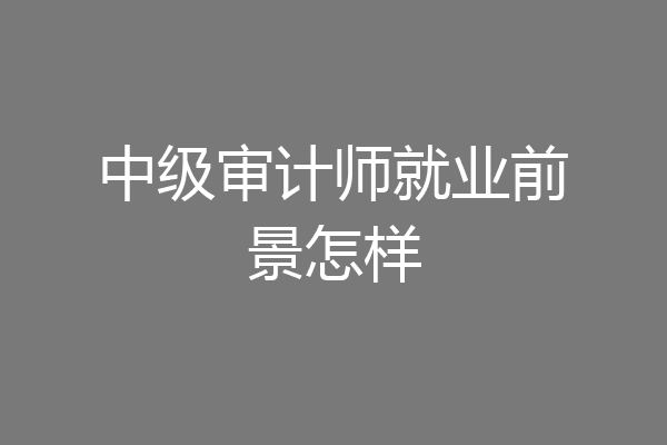 中级审计师就业前景怎样