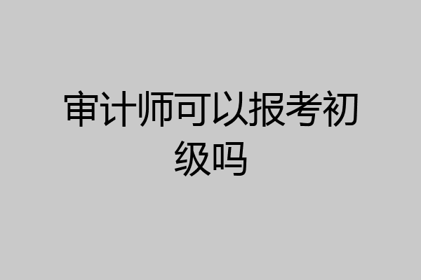 审计师可以报考初级吗