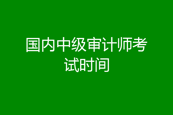 国内中级审计师考试时间