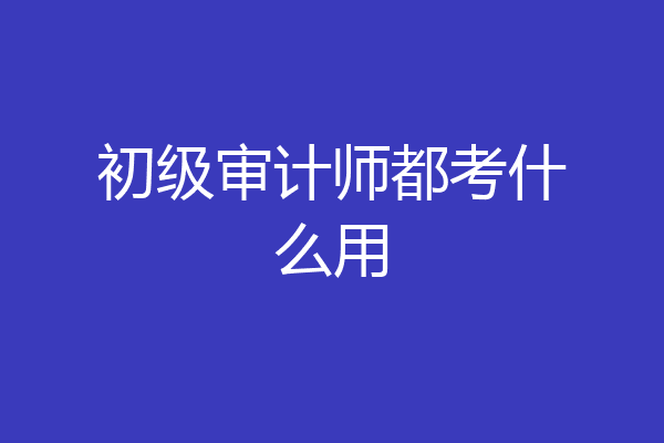 初级审计师都考什么用