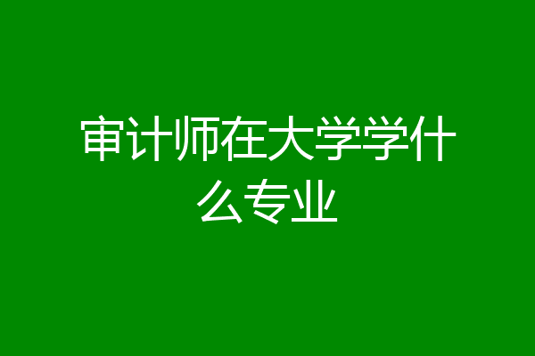 审计师在大学学什么专业