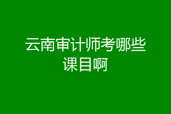 云南审计师考哪些课目啊