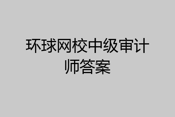 环球网校中级审计师答案