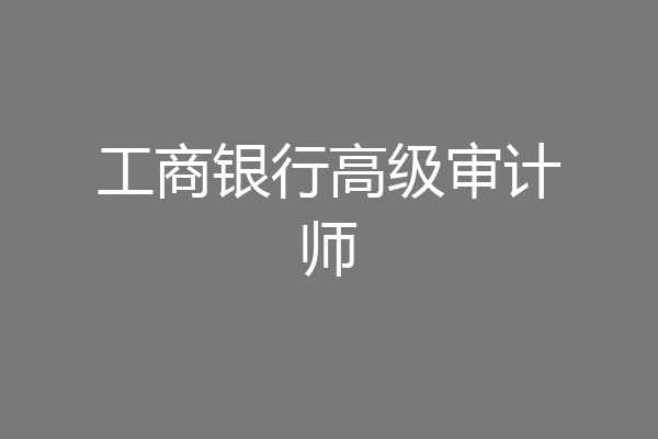 工商银行高级审计师