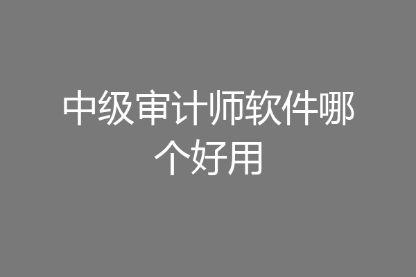 中级审计师软件哪个好用