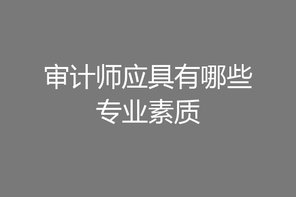 审计师应具有哪些专业素质