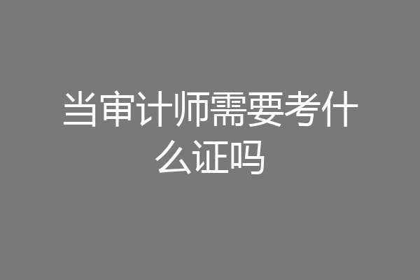 当审计师需要考什么证吗