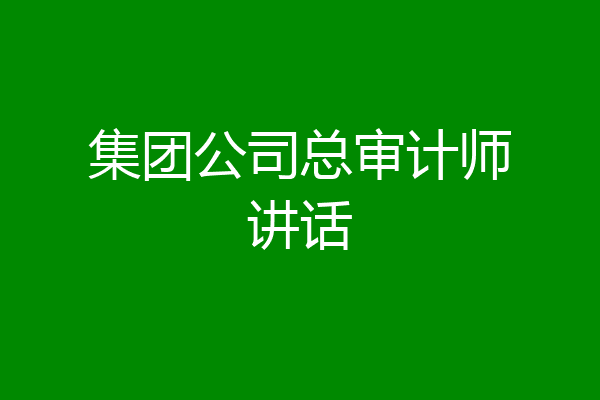 集团公司总审计师讲话