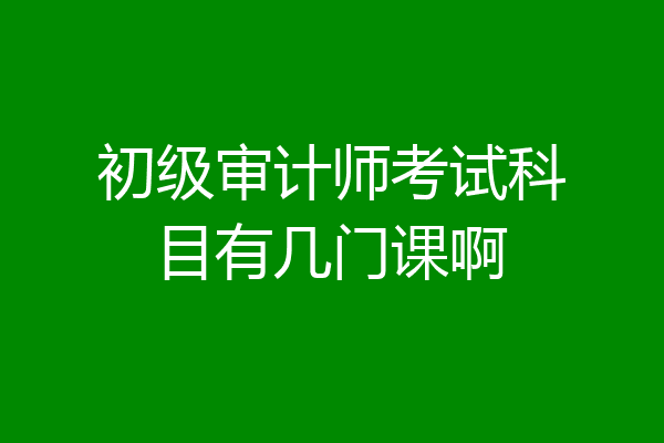 初级审计师考试科目有几门课啊