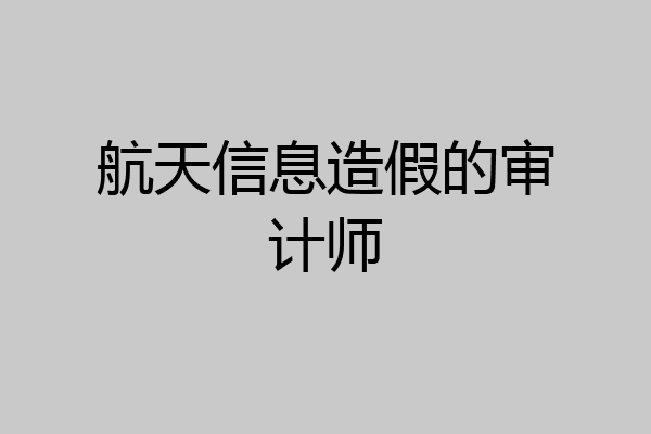 航天信息造假的审计师
