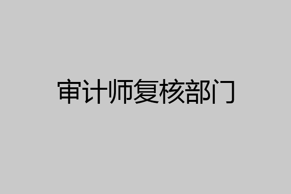 审计师复核部门
