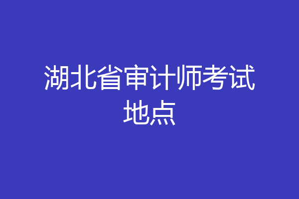 湖北省审计师考试地点