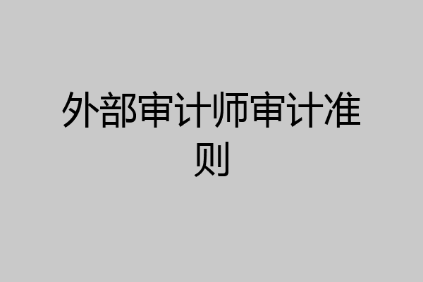 外部审计师审计准则