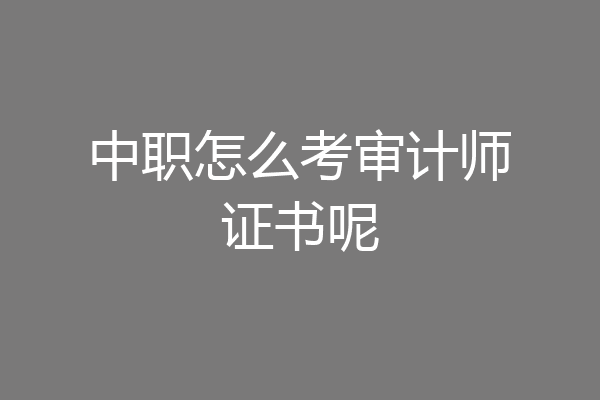 中职怎么考审计师证书呢