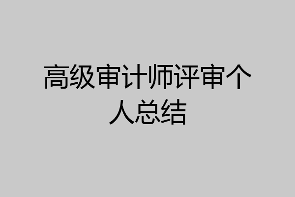 高级审计师评审个人总结