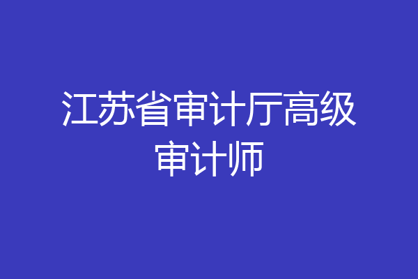 江苏省审计厅高级审计师