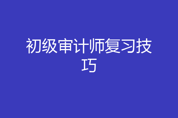 初级审计师复习技巧