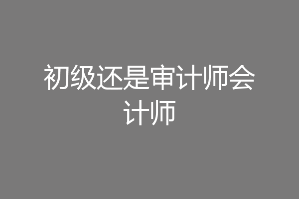 初级还是审计师会计师