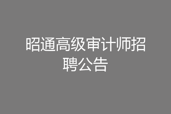 昭通高级审计师招聘公告