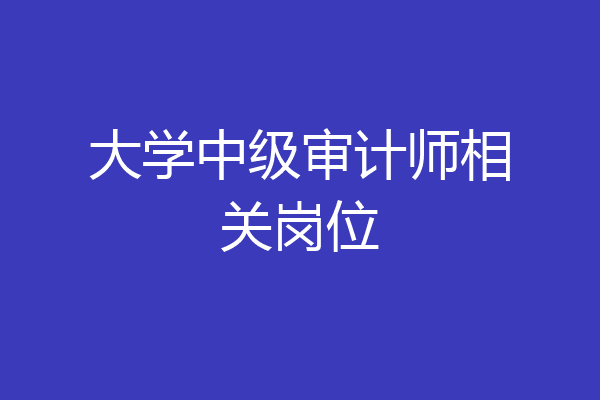 大学中级审计师相关岗位