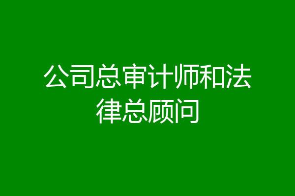 公司总审计师和法律总顾问