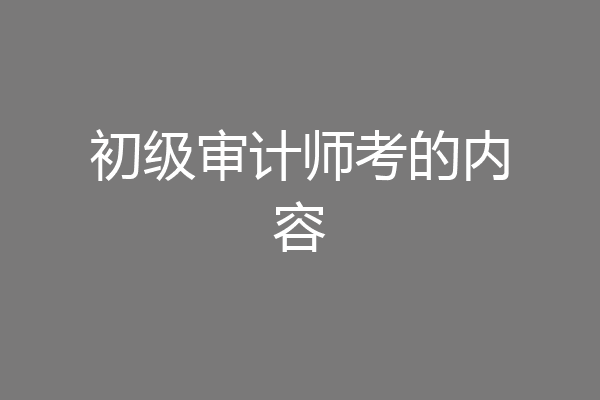 初级审计师考的内容