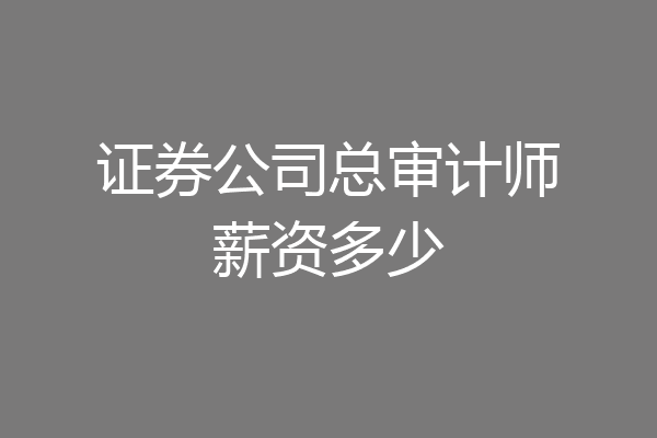 证券公司总审计师薪资多少