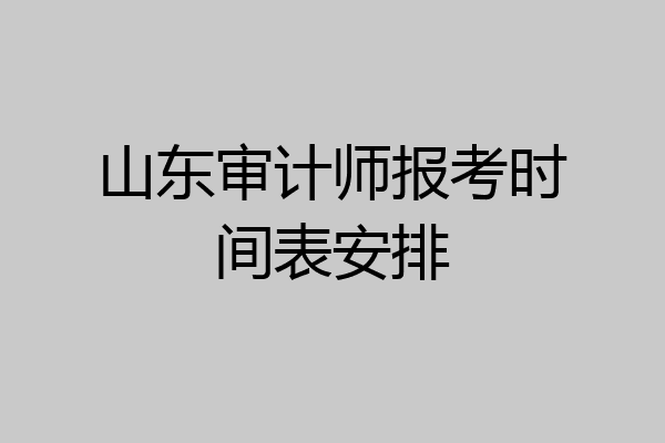 山东审计师报考时间表安排