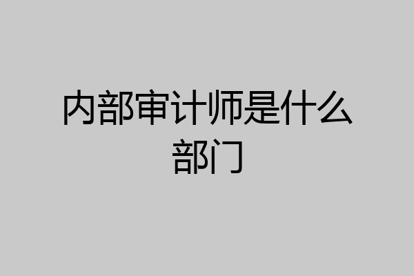 内部审计师是什么部门