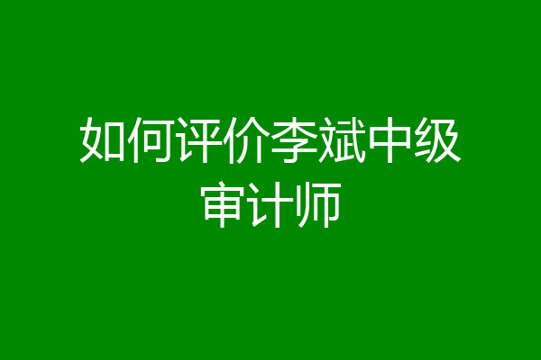 如何评价李斌中级审计师