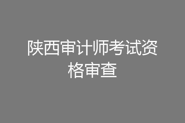 陕西审计师考试资格审查