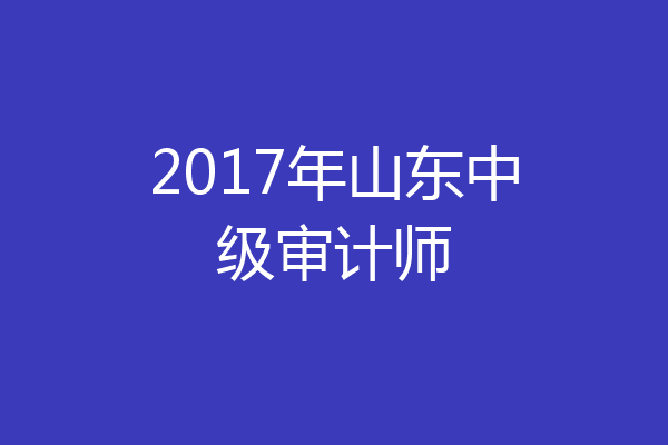 2017年山东中级审计师
