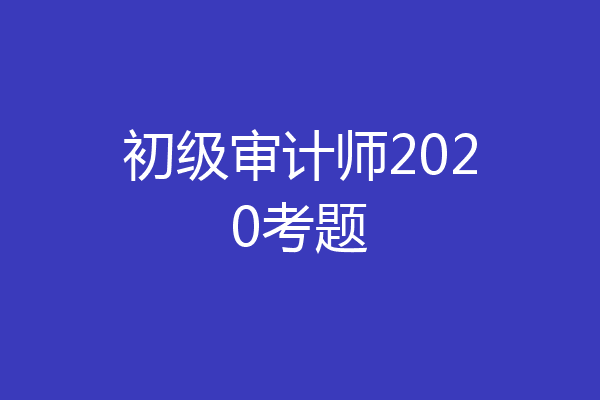 初级审计师2020考题