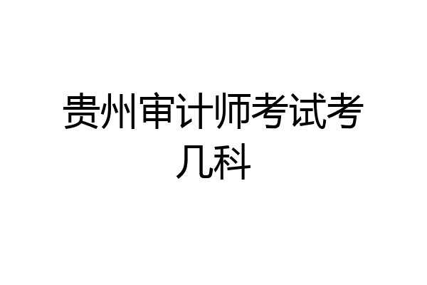 贵州审计师考试考几科