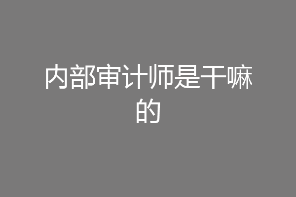 内部审计师是干嘛的