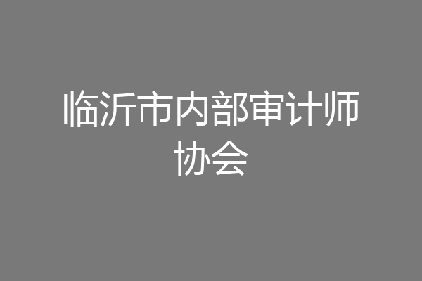 临沂市内部审计师协会