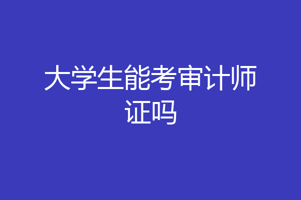大学生能考审计师证吗