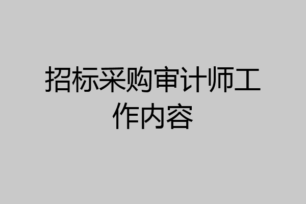 招标采购审计师工作内容