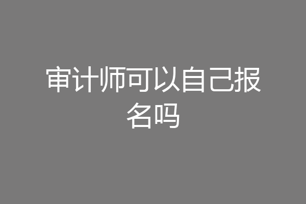 审计师可以自己报名吗
